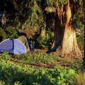 Addressing High Rates of Homelessness Among Women in Contra Costa County, California